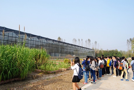 4实验温室区参观.JPG
