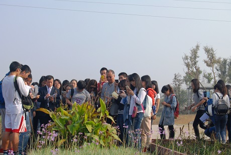 1学习和辨认宿根芳香花卉园艺植物形态特征和生物学习性